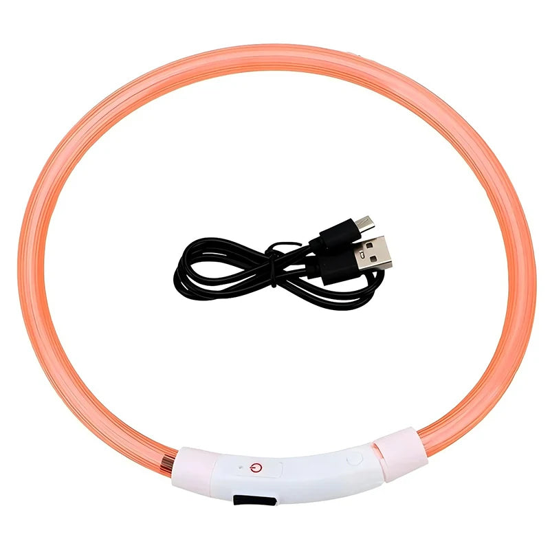 Collier LED-Hunde-USB-Leuchte, wiederaufladbare Nacht 