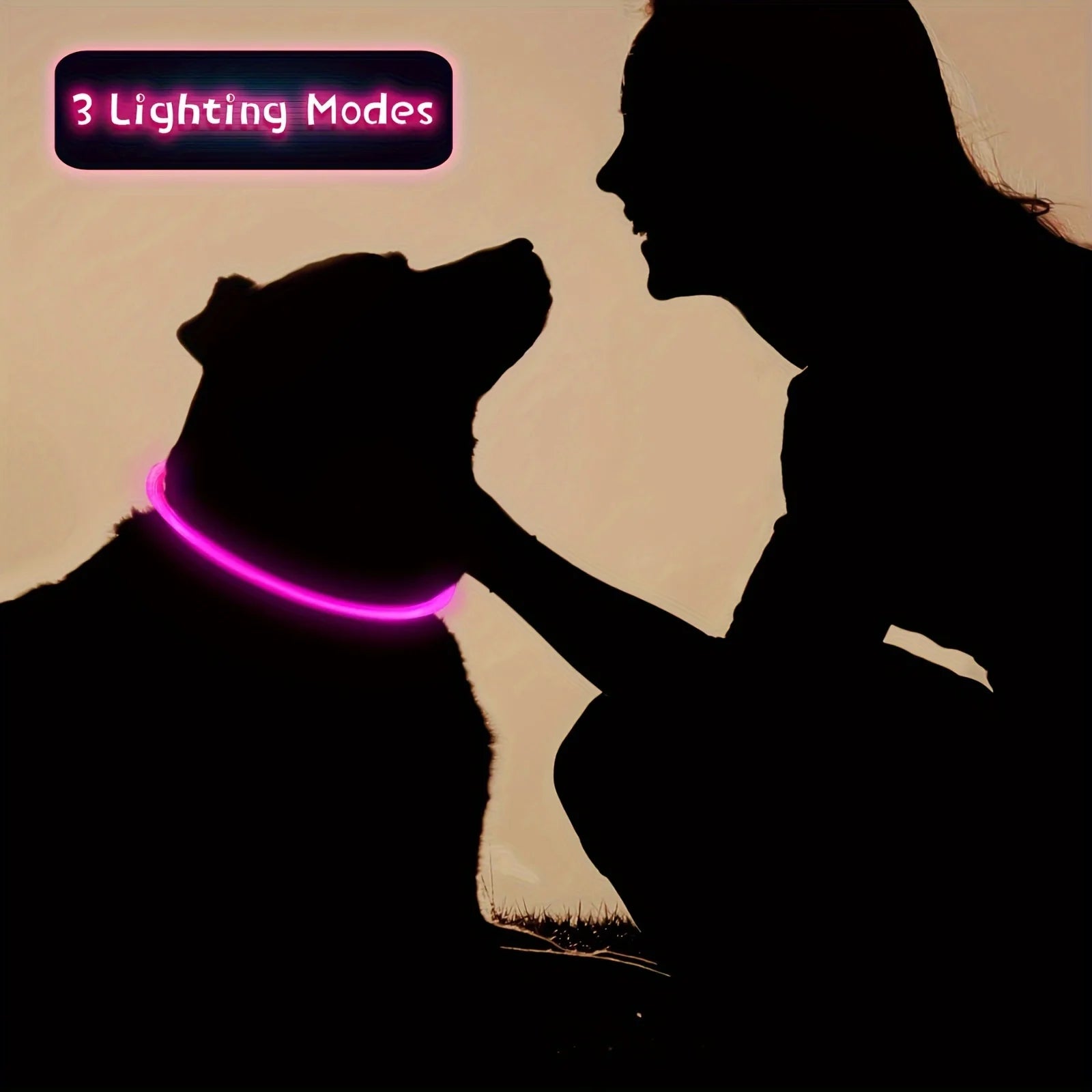 Collier LED-Hunde-USB-Leuchte, wiederaufladbare Nacht 