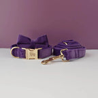 Premium Engraved Personalized Velvet Dog Collar