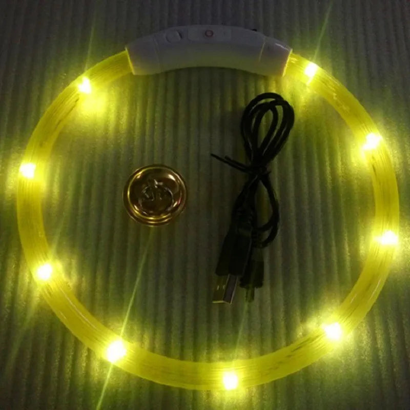 Collier LED-Hunde-USB-Leuchte, wiederaufladbare Nacht 