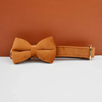 Personalized velvet dog collar
