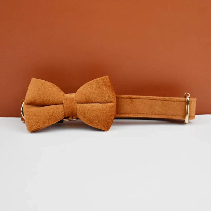 Personalized velvet dog collar
