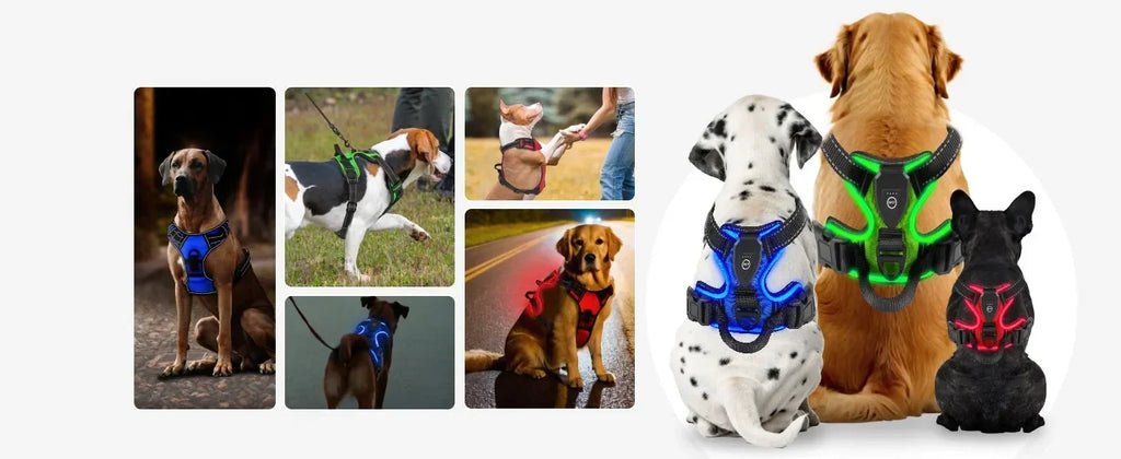 LED-Hundegeschirr