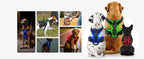 LED-Hundegeschirr