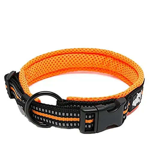 Reflektierendes Hundehalsband