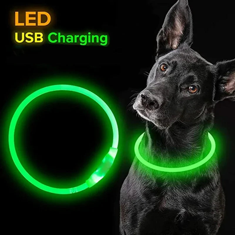 Collier LED-Hunde-USB-Leuchte, wiederaufladbare Nacht 