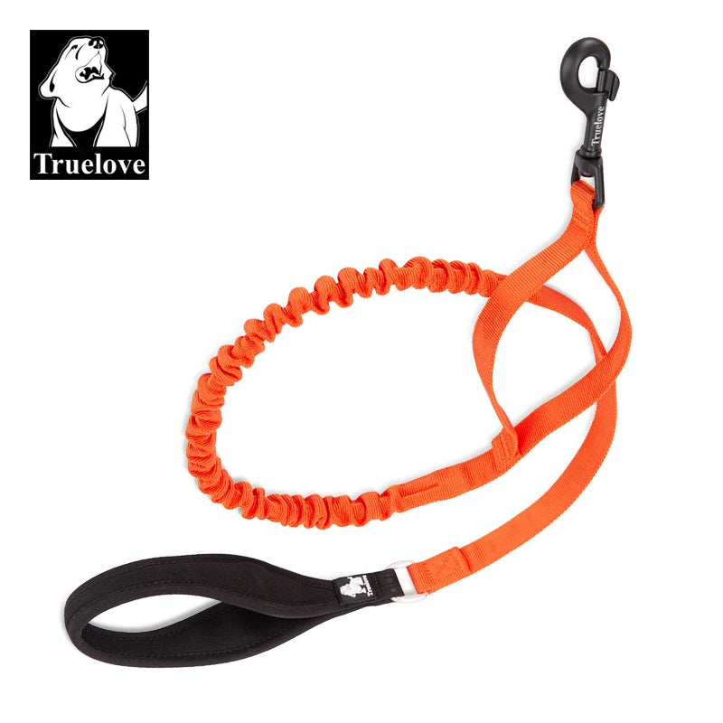 durable dog leash