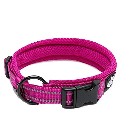 Reflektierendes Hundehalsband