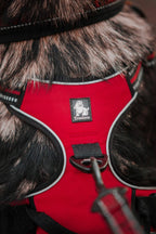 Reflektierendes Hundegeschirr