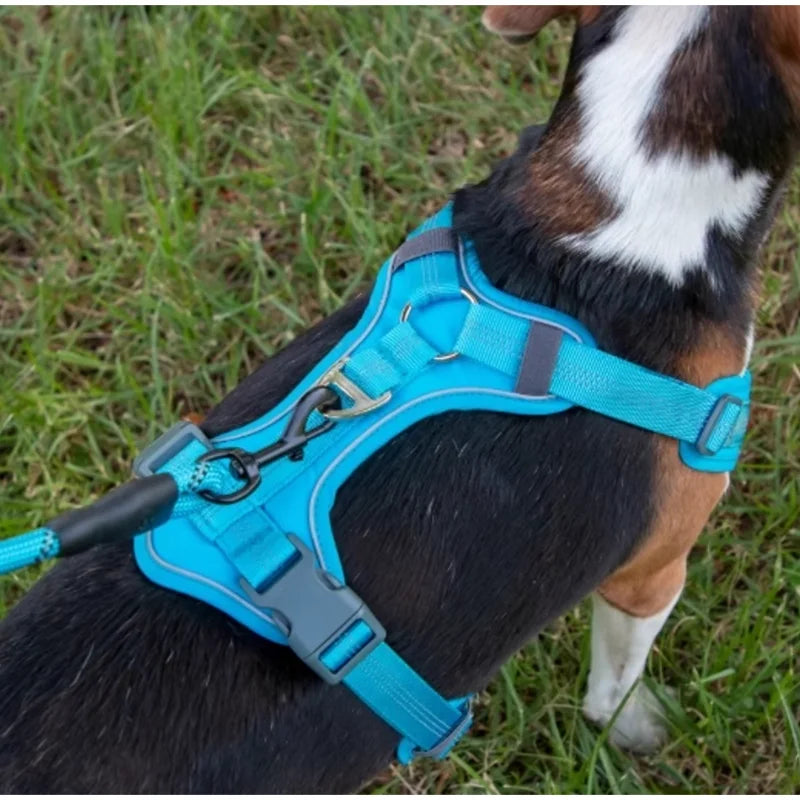 Reflektierendes Hundegeschirr