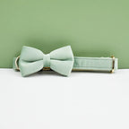 Collier et laisse chien velours personnalisable