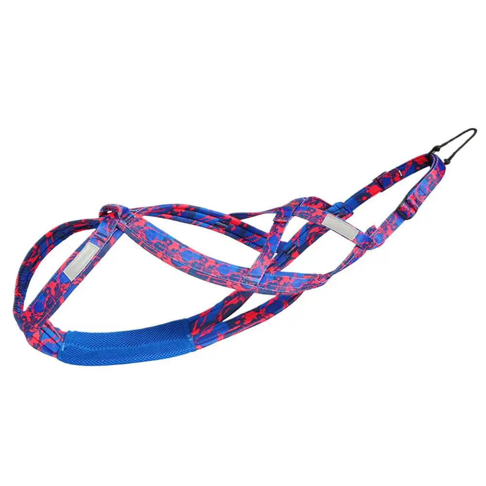 Reflektierendes Hundegeschirr