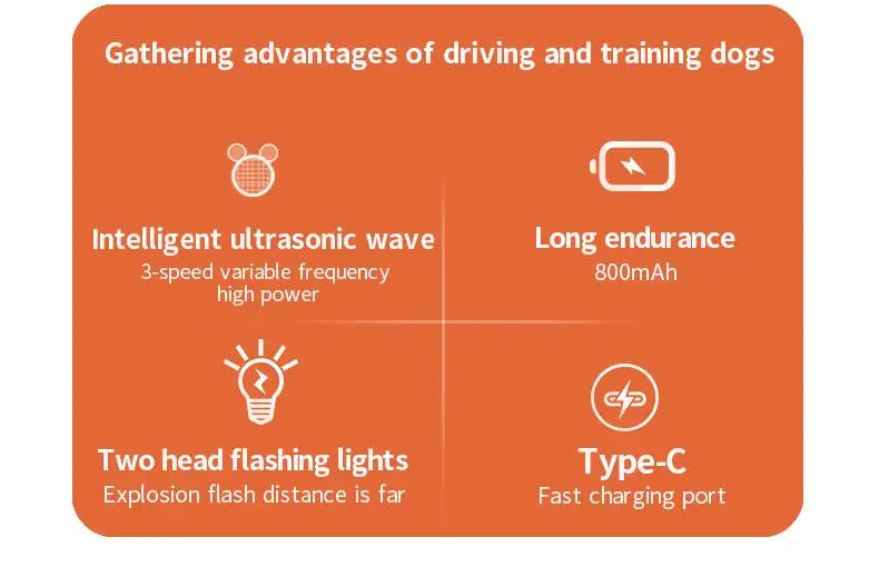 Wiederaufladbare, wiederaufladbare LED mit ultraschallabweisendem Ultraschall gegen Abscheulichkeit 