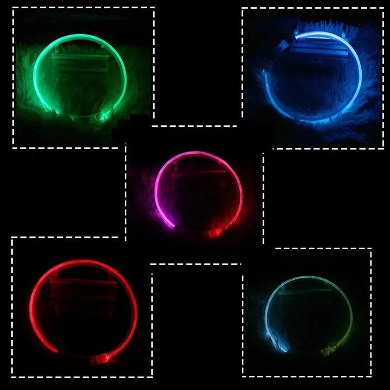 Collier LED-Hunde-USB-Leuchte, wiederaufladbare Nacht 