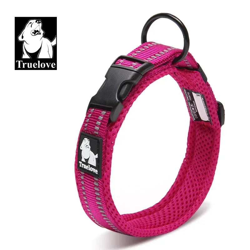 Reflektierendes Hundehalsband