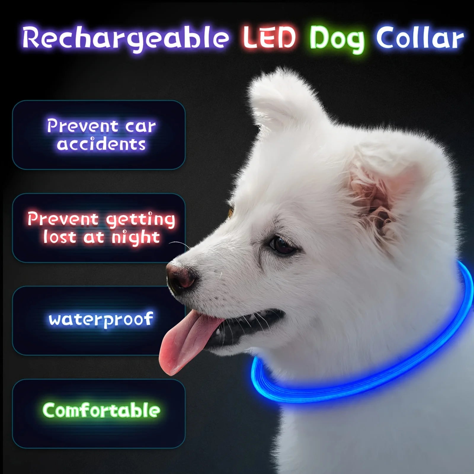 Collier LED-Hunde-USB-Leuchte, wiederaufladbare Nacht 