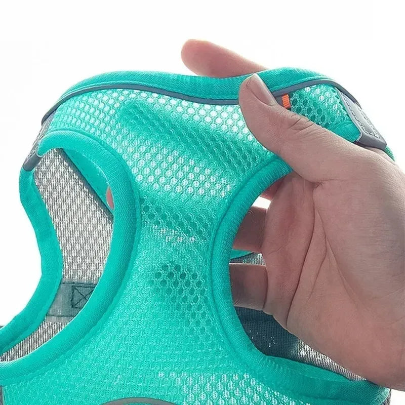 Harnais chiot réglable gilet collier laisse chat chien 