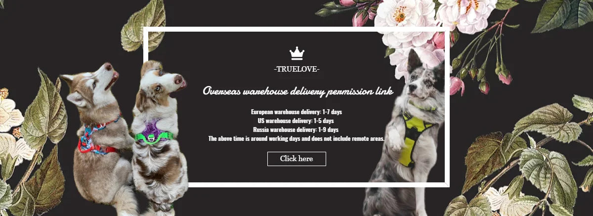 Reflektierendes Hundehalsband