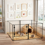 Designer indoor pet park – Safety, transparency &amp; elegance
