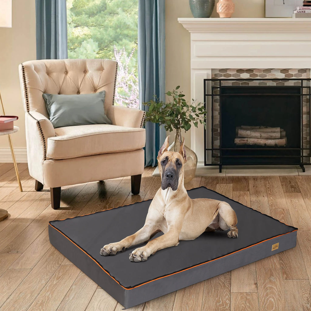 Large orthopedic dog bed with washable cover