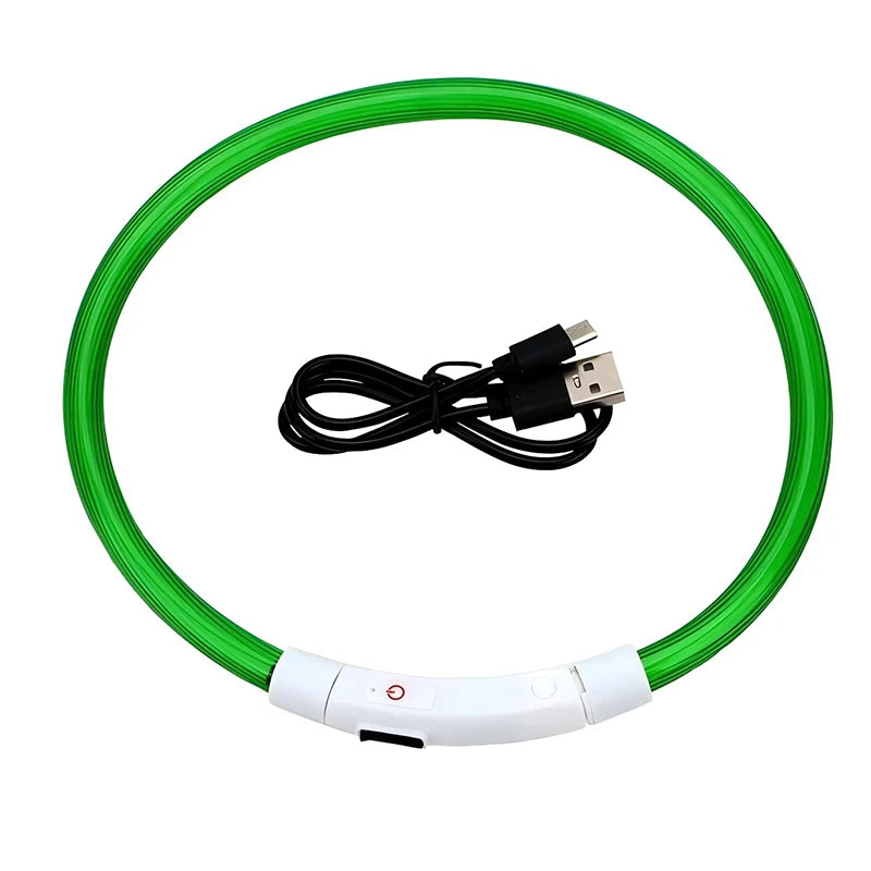 Collier LED-Hunde-USB-Leuchte, wiederaufladbare Nacht 
