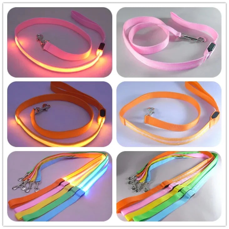 LED dog leash, flashing light, safety at night 