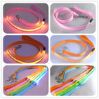 LED dog leash, flashing light, safety at night 