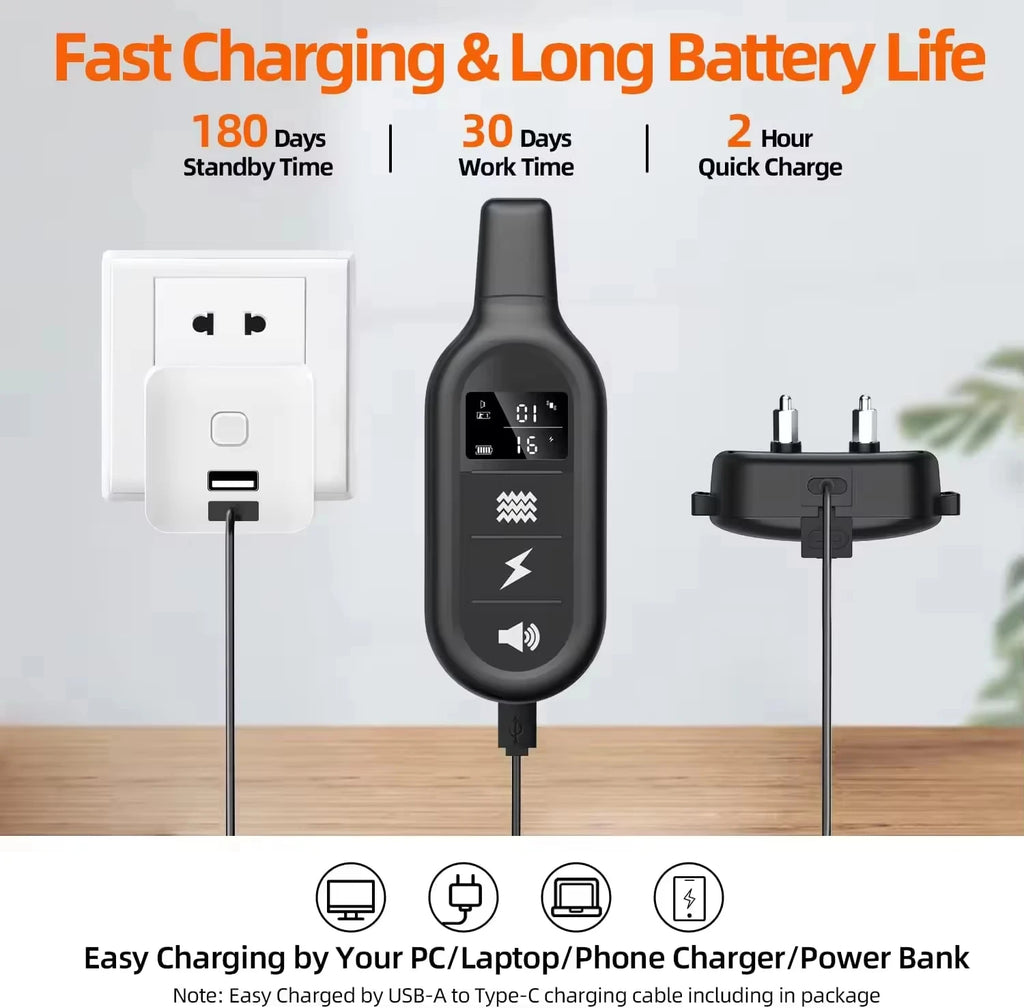 Halsband Hundetraining 1000 m wasserdicht wiederaufladbar