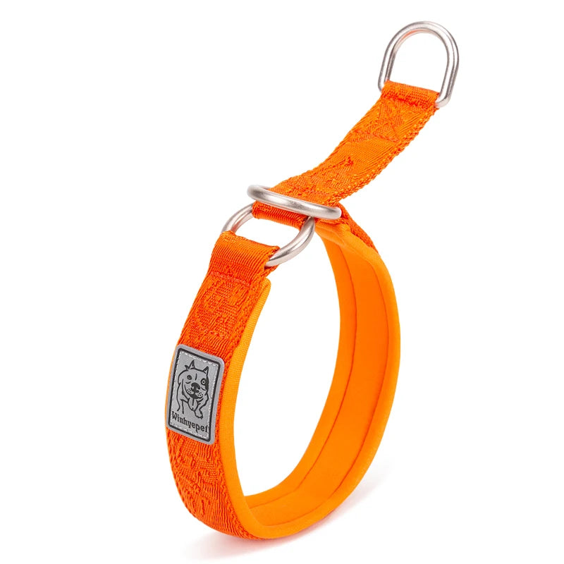 Reflektierendes Hundehalsband