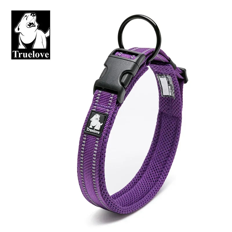 Reflektierendes Hundehalsband