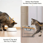 Gamelles Chat Surélevées 15° Anti-Erbrechen