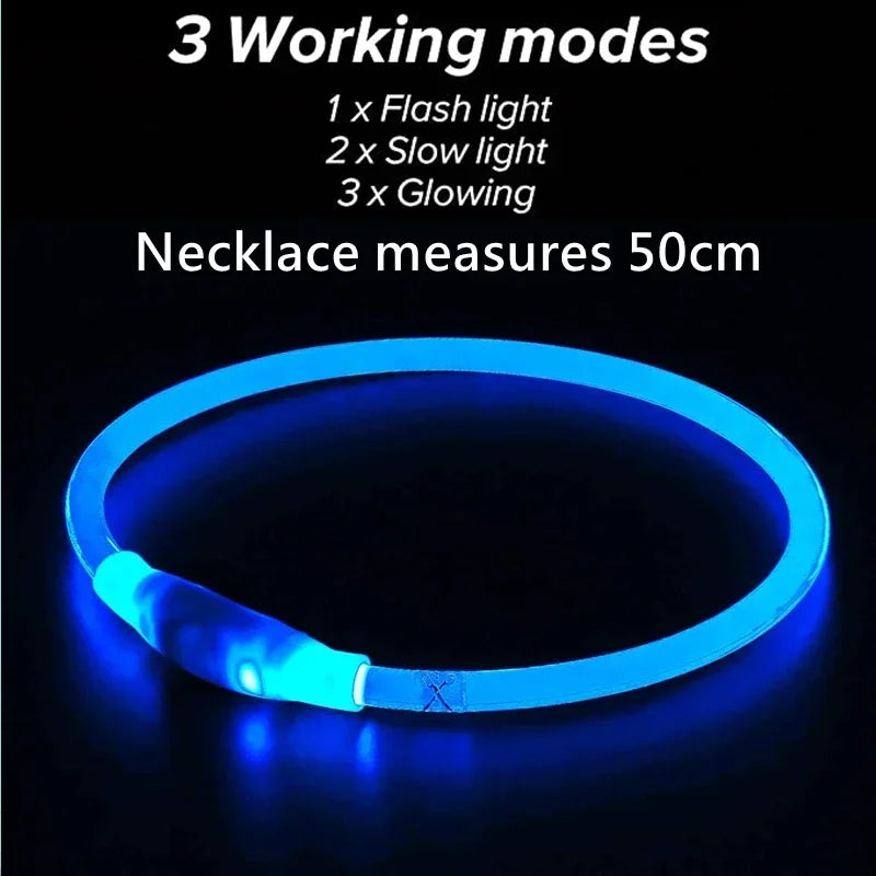 Collier LED-Hunde-USB-Leuchte, wiederaufladbare Nacht 