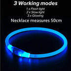 Collier LED-Hunde-USB-Leuchte, wiederaufladbare Nacht 