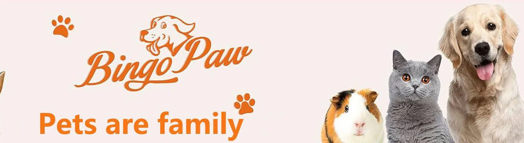 Cage Chien XL empilable Double-Level-Roulettes