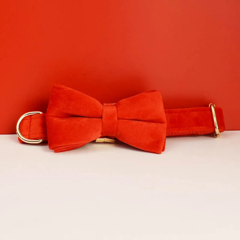 Personalized velvet dog collar