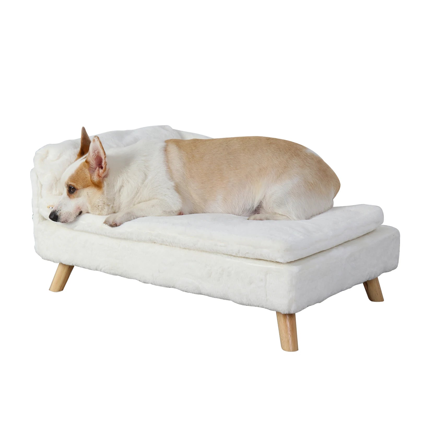Nordic raised pet bed with waterproof cushion 