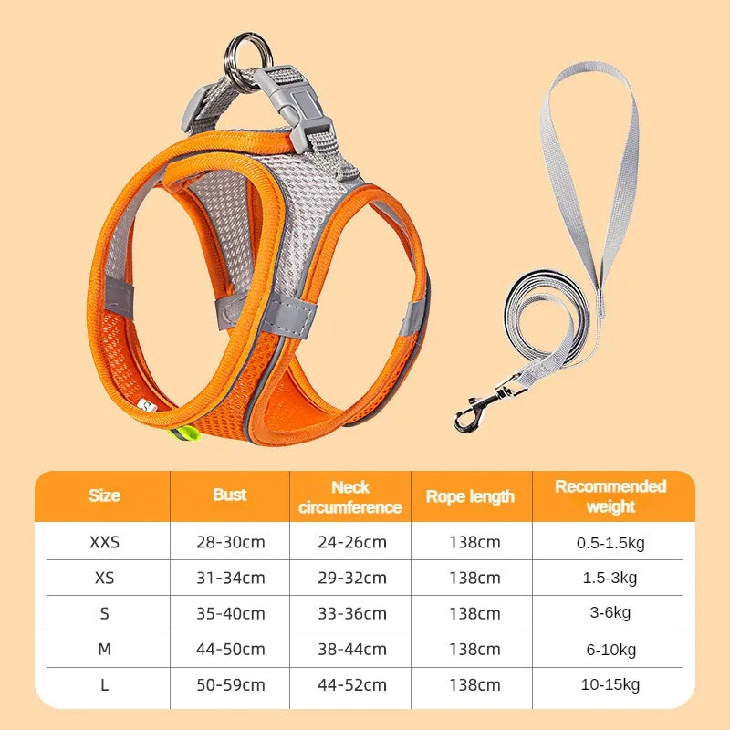 Harnais chiot réglable gilet collier laisse chat chien 