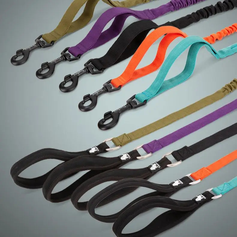 durable dog leash