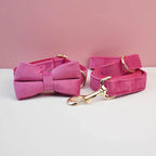 Hochwertiges, graviertes, personalisiertes Samt-Hundehalsband