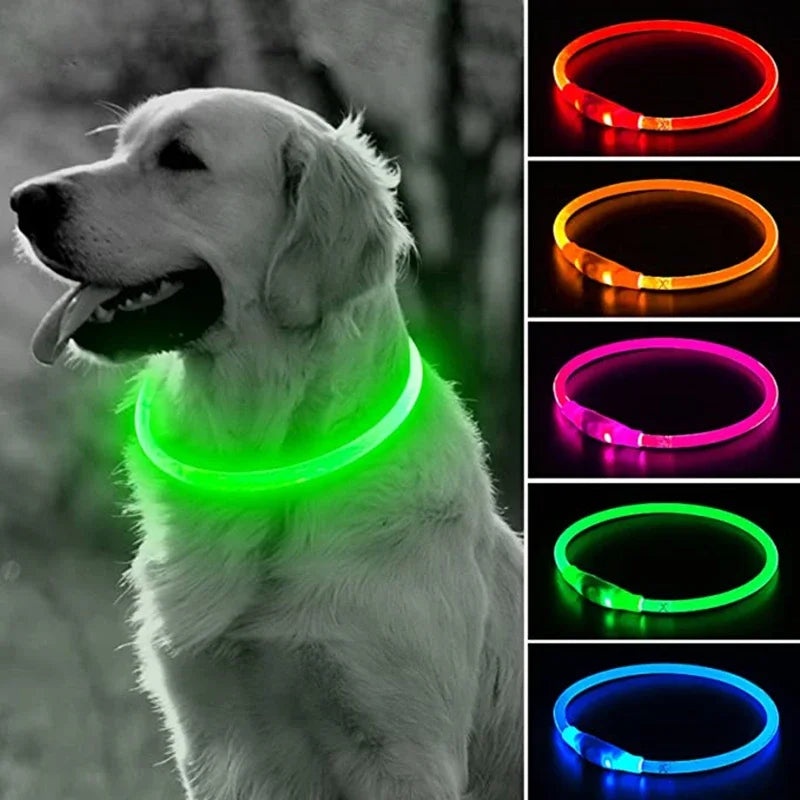 Collier LED-Hunde-USB-Leuchte, wiederaufladbare Nacht 