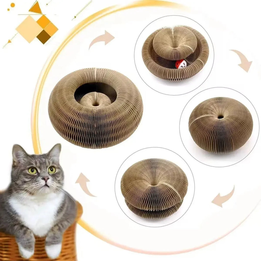Griffoir chat interactif rond carton balle Magic Organ
