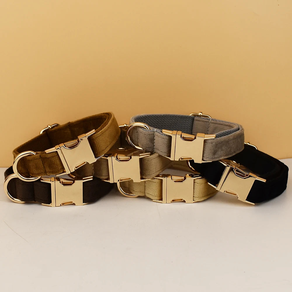 Personalisiertes Samt-Hundehalsband