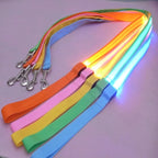 LED dog leash, flashing light, safety at night 