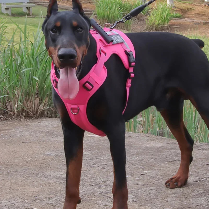 Anti-Zug-Hundegeschirr