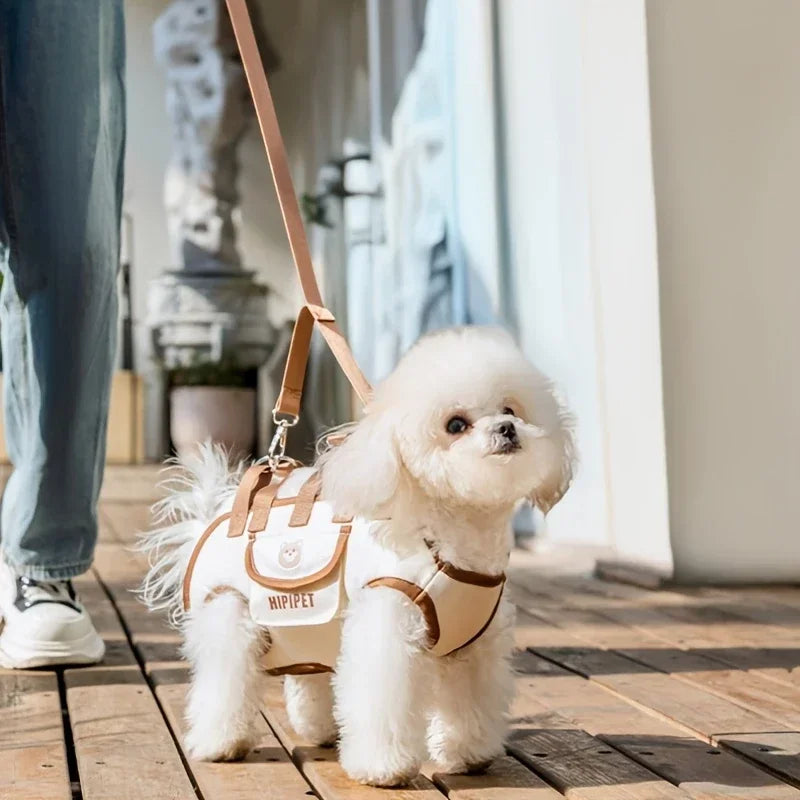Adjustable outdoor pet carrier bag with harness clip 