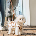 Adjustable outdoor pet carrier bag with harness clip 