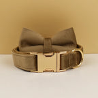 Personalized velvet dog collar