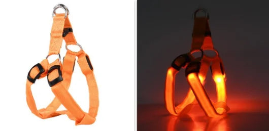 Reflektierendes Hundegeschirr