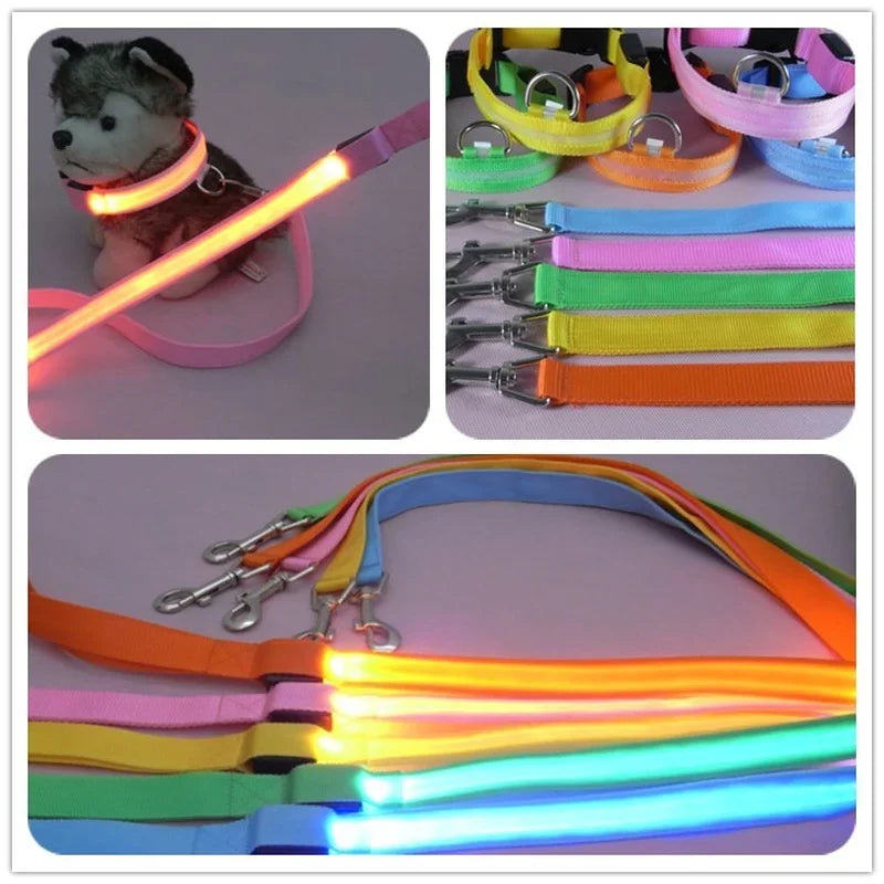 LED dog leash, flashing light, safety at night 