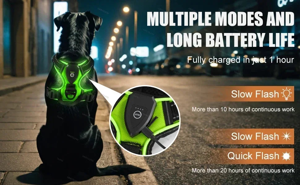LED-Hundegeschirr
